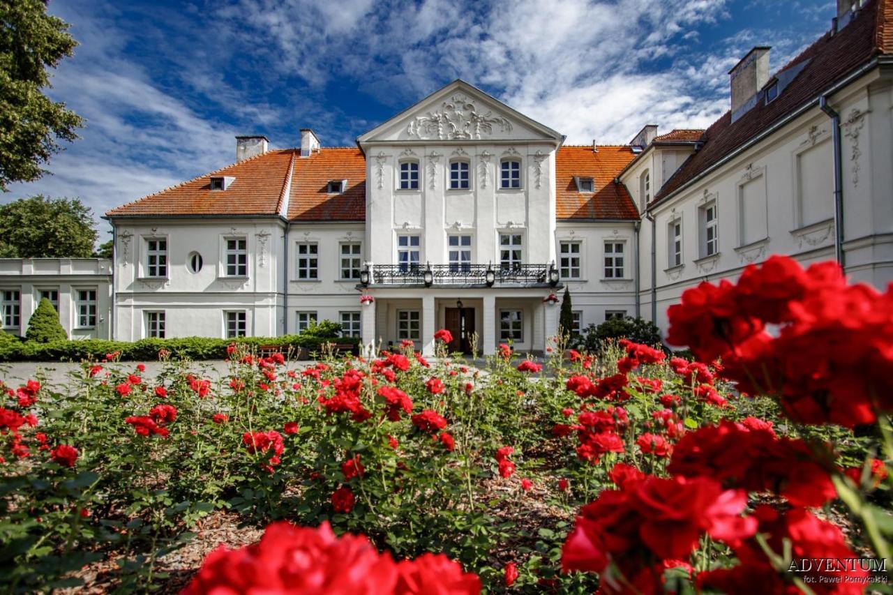 Palac Pod Kampinosem - Blisko Warszawy Leszno (Masovia) Exterior photo
